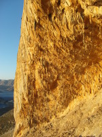 SNV80491.JPG